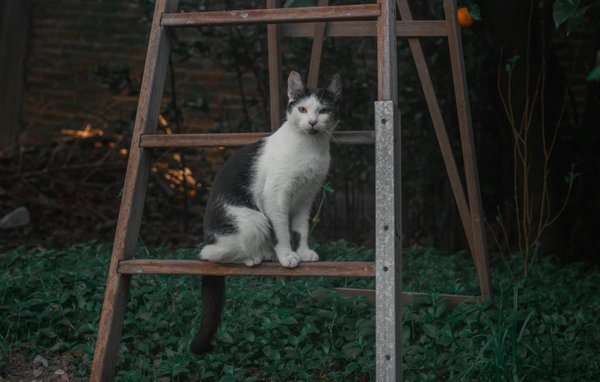 Quels sont les meilleurs exercices pour améliorer l'équilibre chez les personnes âgées?