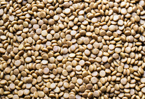 La Réponse des Systèmes de Santé aux Pandémies Actuelles