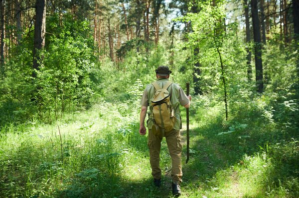 Sylvothérapie au service de la Conscience du Vivant