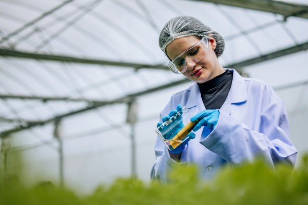 Découvrez l'excellence des services de votre opticien à tours